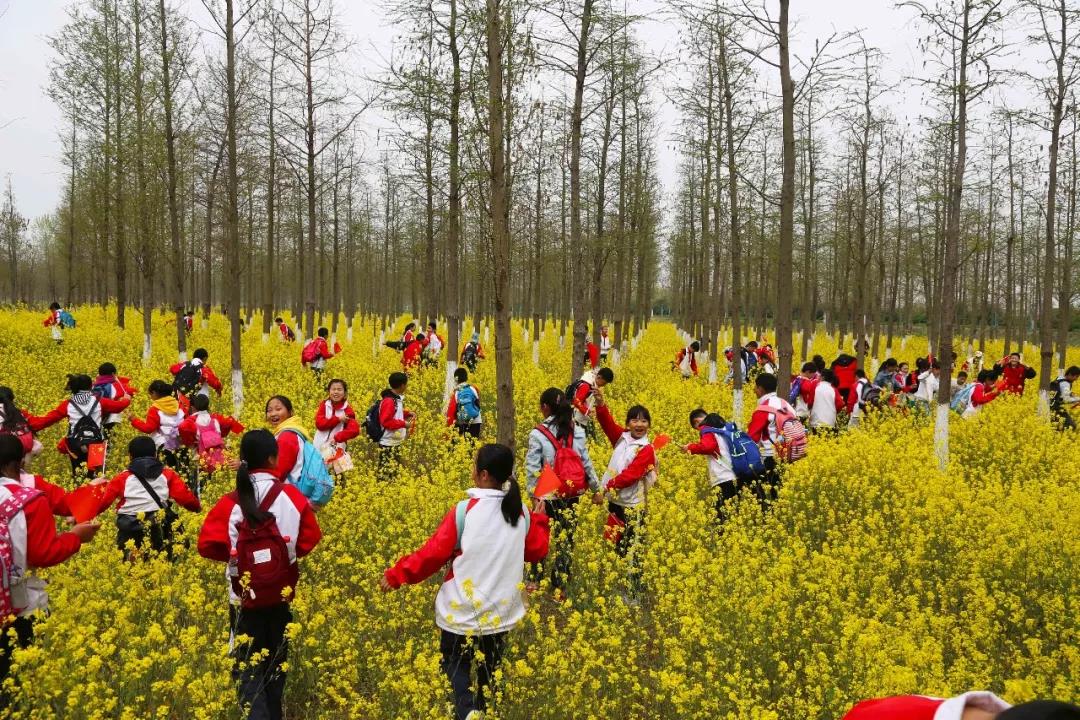 鹽7.jpg