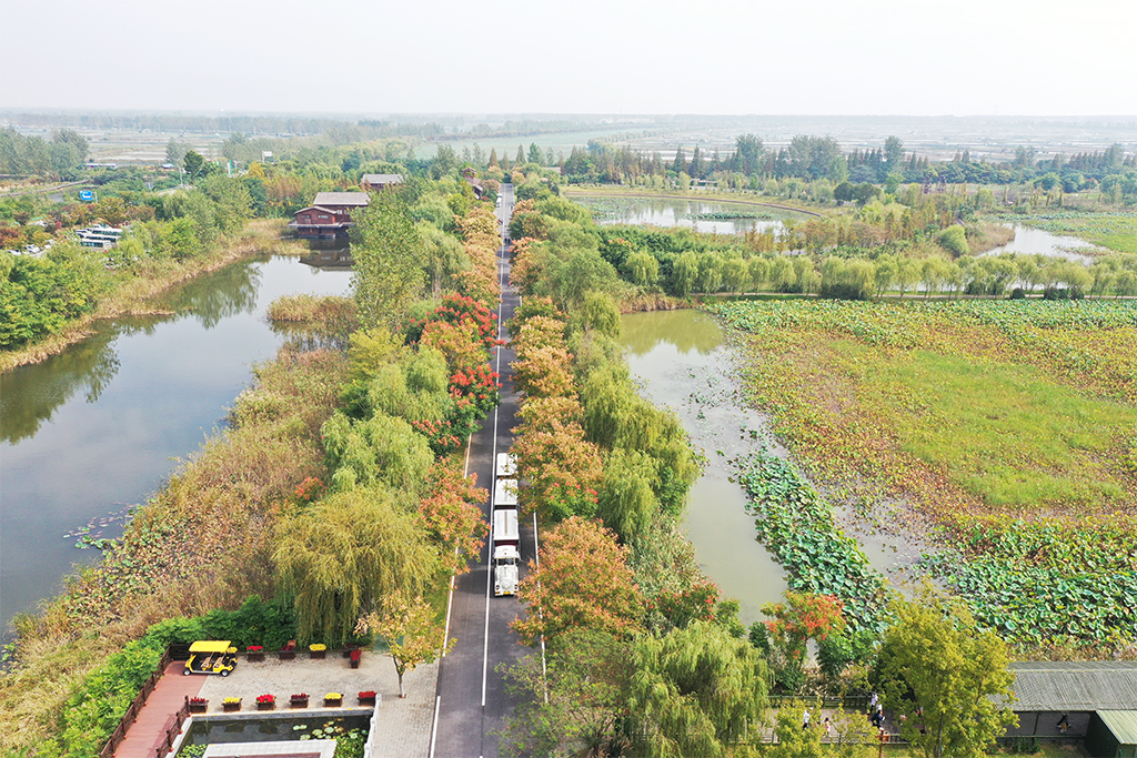 DJI_0224.JPG