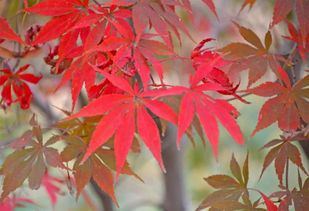 微信圖片_20201102104012.jpg
