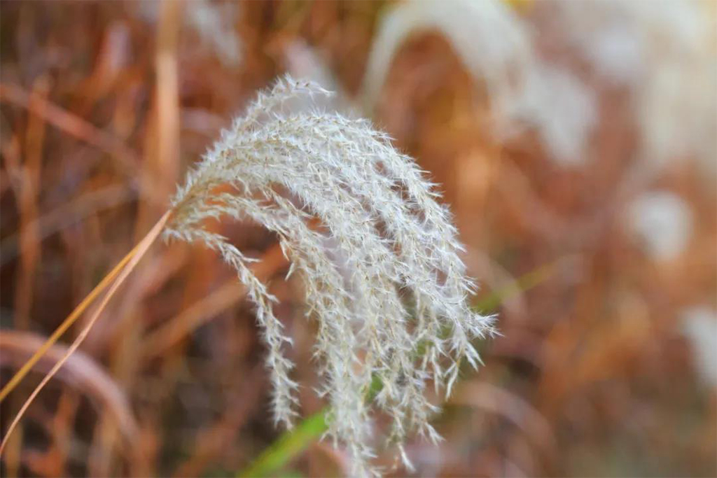 微信圖片_20201111155805.jpg