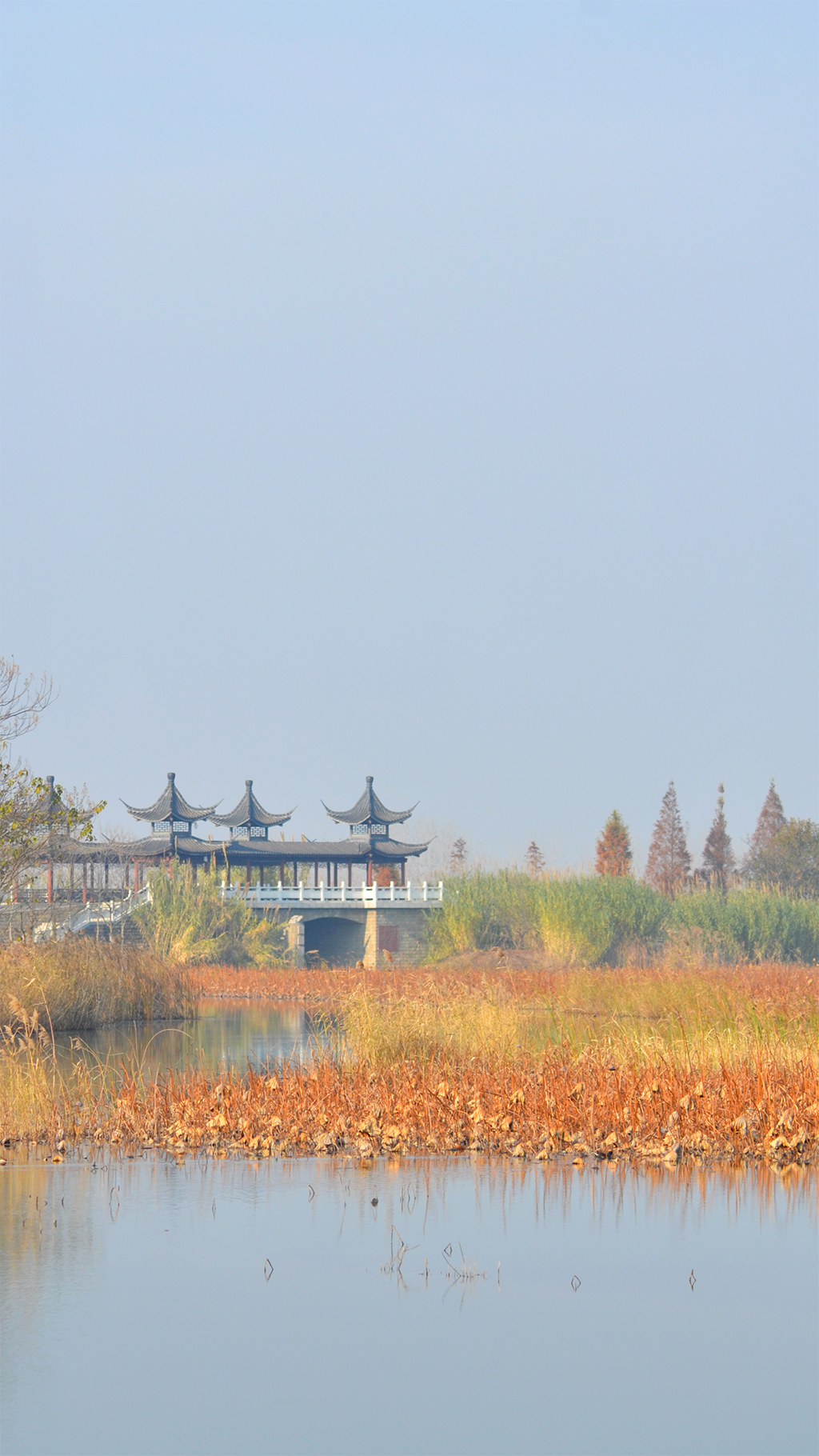 微信圖片_202012151526362.jpg