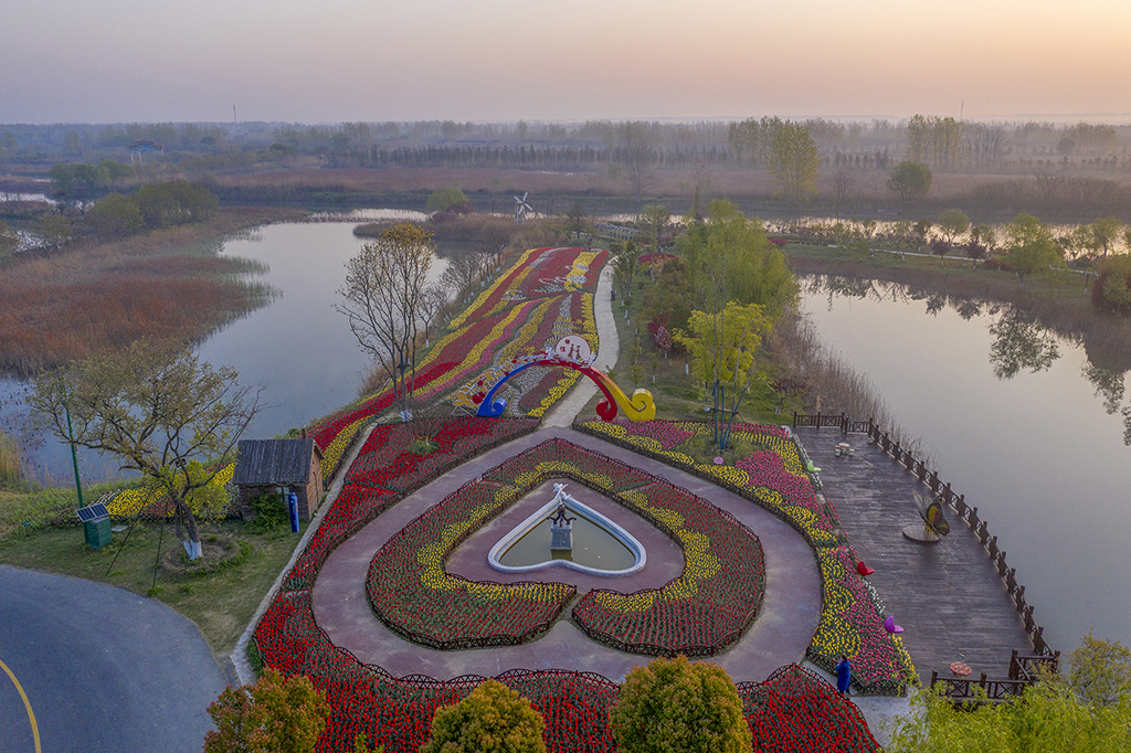 郁金香園鳥瞰.jpg