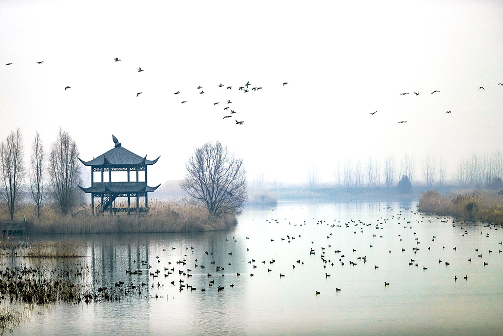 《濕地歡歌》+夏壽長+13951096169.jpg
