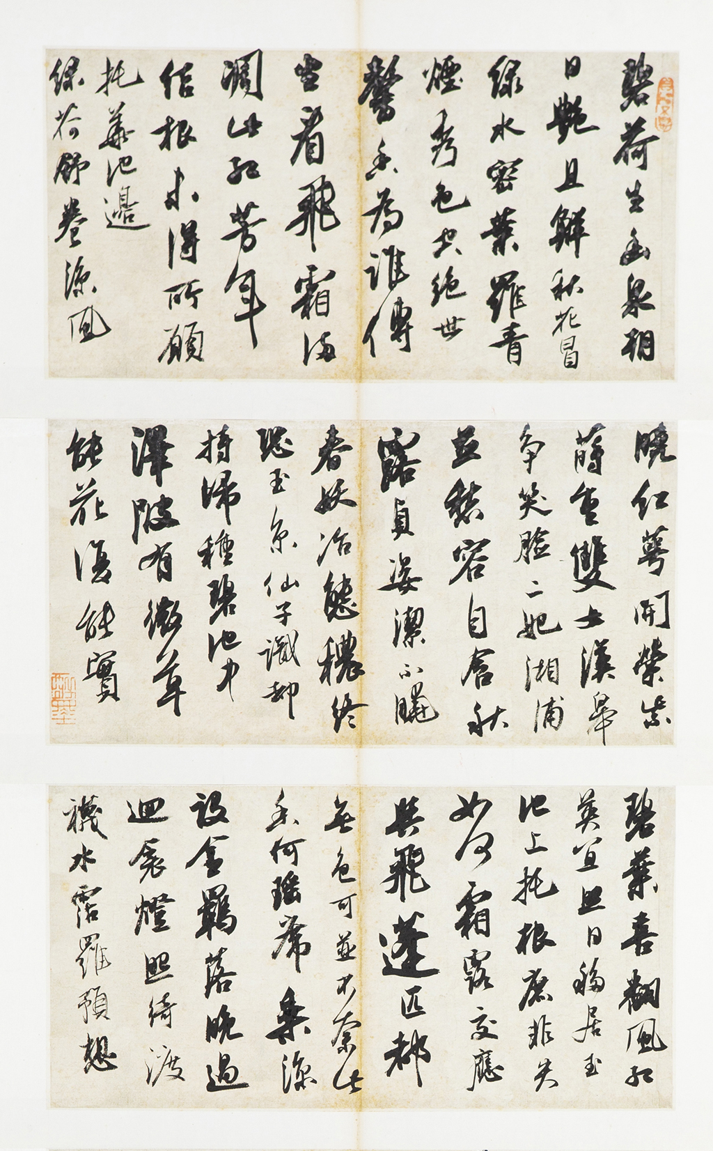 9侯少楠 優秀獎.jpg